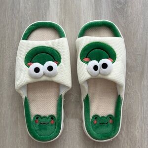 Brand New Frog Slippers